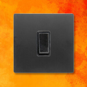 10AX 1 Gang 2 Way Plate Switch